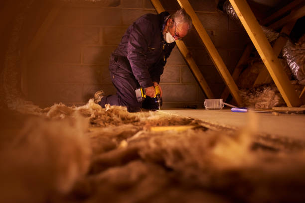 Best Cellulose Insulation in Aberdeen, SD